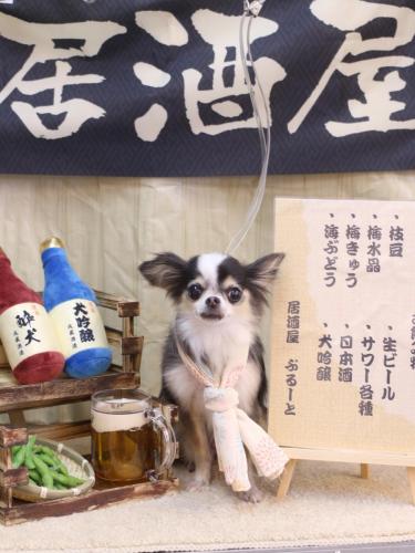 20240619ひめちゃん